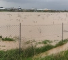 The Ministry of Foreign Affairs condemns the crime of dumping farmers&acute; lands in eastern Gaza
