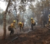 California.. Thousands evacuated as &quot;devastating&quot; fire spreads
