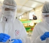 Israeli health: 1 death and 1,400 new cases of corona