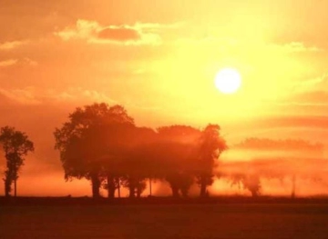 In America.. Scientists trying to  &quot;Dim the Sun &quot;