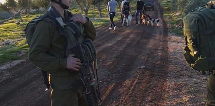 Settler dogs attack a native from Bidya and cause his brother to faint