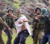 Escalation of settler attacks. Wholesale attacks on citizens &acute; property