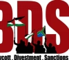 Israel Forms International lawyers network to fight BDS