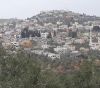 Occupation sweeps 70 dunums east of Qalqilya