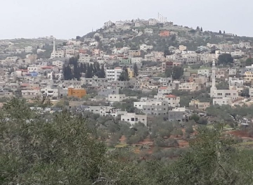 Occupation sweeps 70 dunums east of Qalqilya