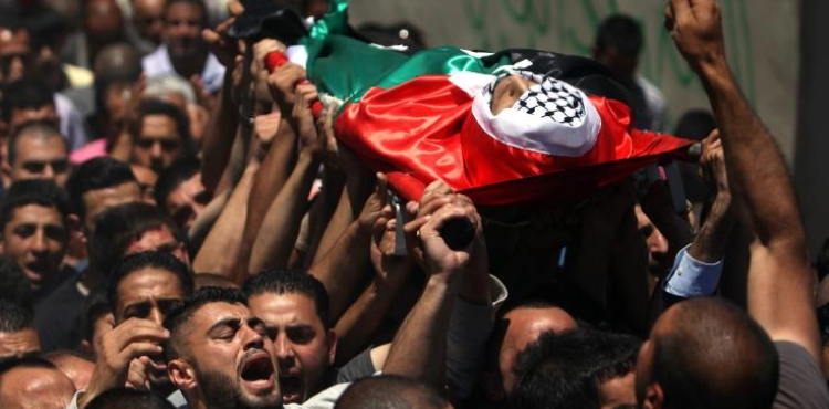 312 Palestinian martyrs in 2018