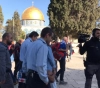 Veterans occupy al-Aqsa mosque in 67 storming mosque