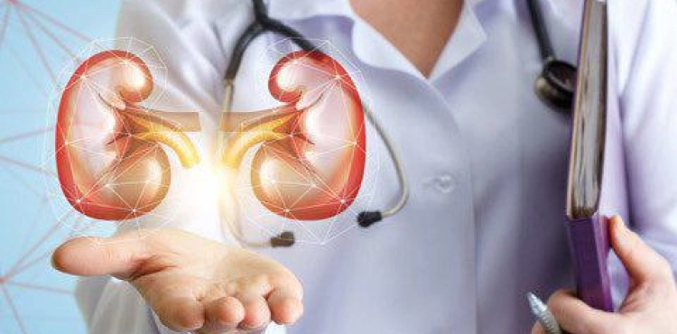 A Palestinian doctor receives the second best medical Research Award in Switzerland in the field of organ transplantation