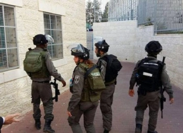 IOF continue to attack the schools of Tekoa