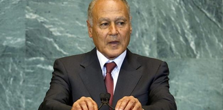 Abul Gheit calls on EU countries to recognize the state of Palestine
