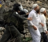 Settlers attack a vegetable vendor and raid his goods north of Nablus