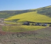 Settlers hunt sheep herders east of Yatta