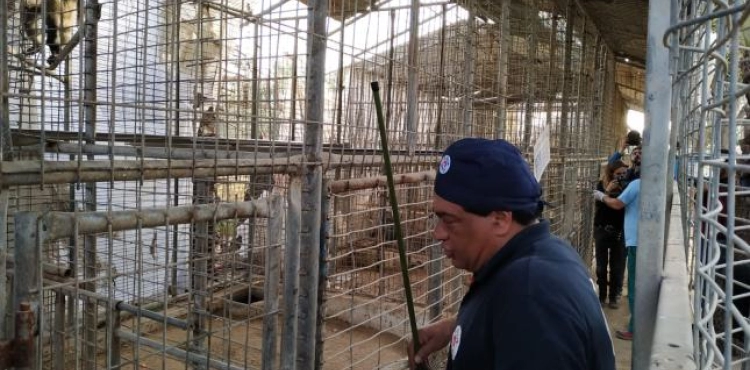 An international organization transporting 40 animals and birds from the Gaza Strip to Jordan