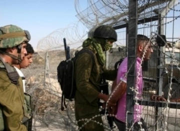 Israeli forces arrest 3 youths on Gaza border