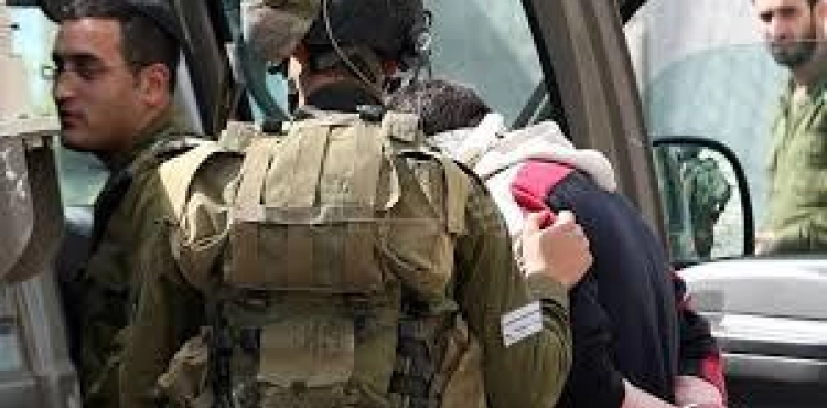 Occupation arrests 3 boys near al - Arub