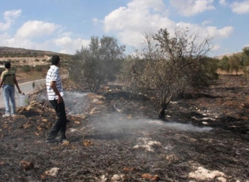 Settlers set fire to agricultural fields south of Nablus