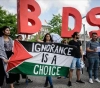 National &quot;: the decision of the German Parliament on the BDS bias of the occupation and settlement