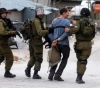 Israeli occupation forces arrest 8 citizens