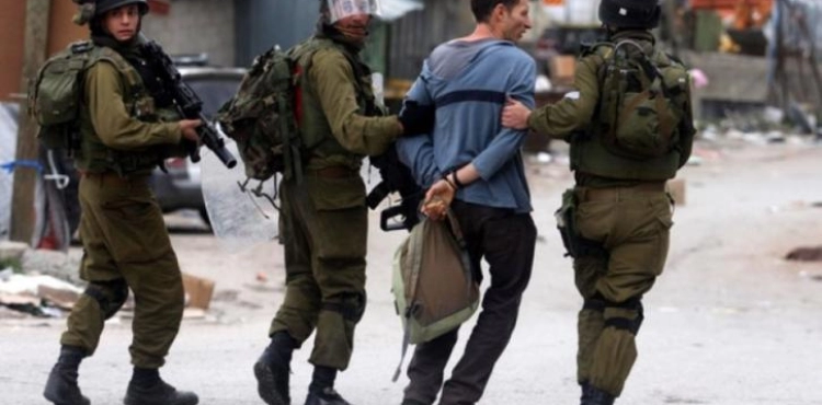 Israeli occupation forces arrest 8 citizens