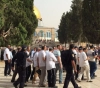 44 settlers storm the Al-Aqsa Mosque