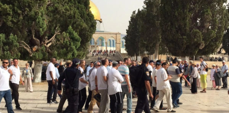44 settlers storm the Al-Aqsa Mosque