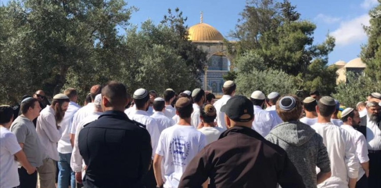 68 settlers and soldiers break into the &quot;Aqsa&quot; and the refusers refuse to leave
