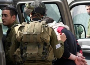 Occupation arrests a young man near Hebron
