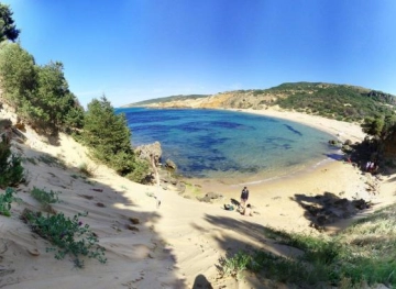 Discover a rare and unique plant in the world in Tunisia