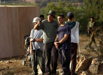 Settlers raze land south of Bethlehem