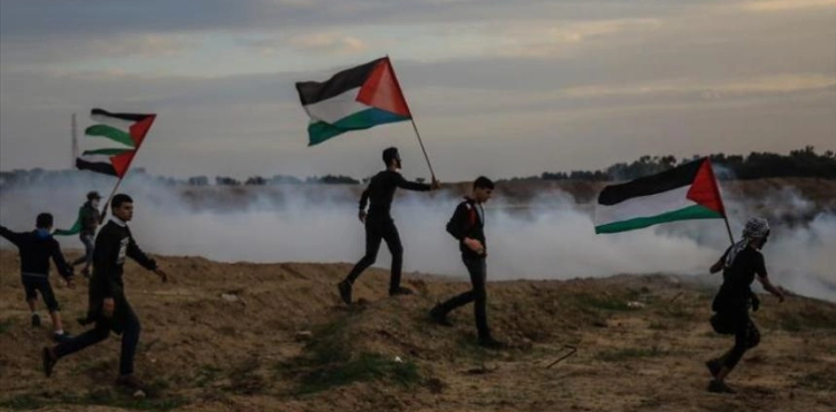 Dozens of Palestinians were injured by Israeli fire in Gaza