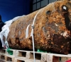 Bombing a 500 kg bomb in Frankfurt