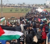 Human rights center: 311 martyrs since the beginning of the return marches