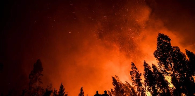 More than 1,000 firefighters are fighting fires in central Portugal