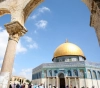 75 Israeli violations in Al-Aqsa and Brahimi