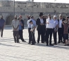 Dozens of settlers storm Al-Aqsa