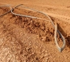 The occupation destroys a water line and seizes an irrigation network in the northern Jordan Valley