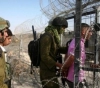 Israeli forces arrest 3 citizens from Ramallah and Gaza