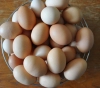 A British woman almost lost her sight because of a recipe from the Internet for boiling eggs