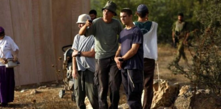 Settlers attack farmers in Um Safa and Jibiya north of Ramallah