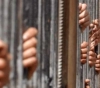 10 prisoners continue their open hunger strike