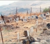 Occupation detains 304 martyrs in refrigerators and tombs of numbers