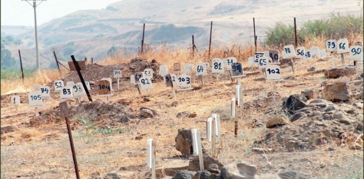 Occupation detains 304 martyrs in refrigerators and tombs of numbers