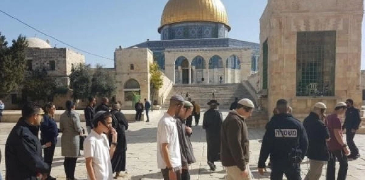 Settlers storm Al-Aqsa under the protection of the Israeli police