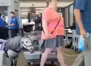 She took her horse to the salon of the plane to relieve her of stress