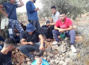 The occupation holds a family from Qaryut and prevents them from reaping almonds from their land near a settlement outpost