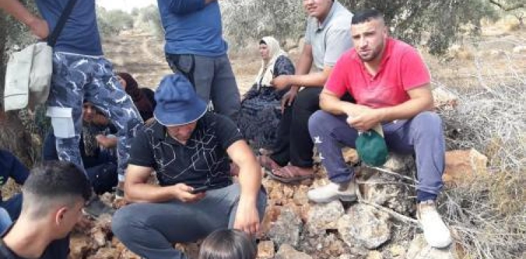 The occupation holds a family from Qaryut and prevents them from reaping almonds from their land near a settlement outpost