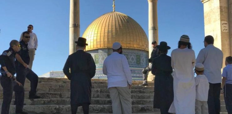46 settlers storm al-Aqsa... The occupation arrested 162 Jerusalemites during august