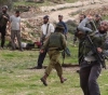 Dozens of injuries, burning and cutting trees in settler attacks south of Nablus