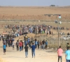 Two martyrs shot by the occupation on the Gaza border