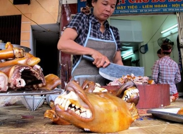 A Vietnamese city urges its residents not to eat dog meat to improve the image of the country